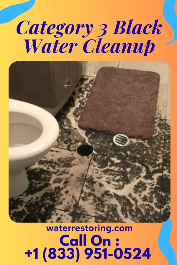 Category 3 Black Water Cleanup in Hickory Valley, TN