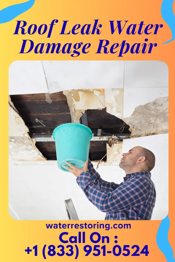 Roof Leak Water Damage Repair in Hickory Valley, TN