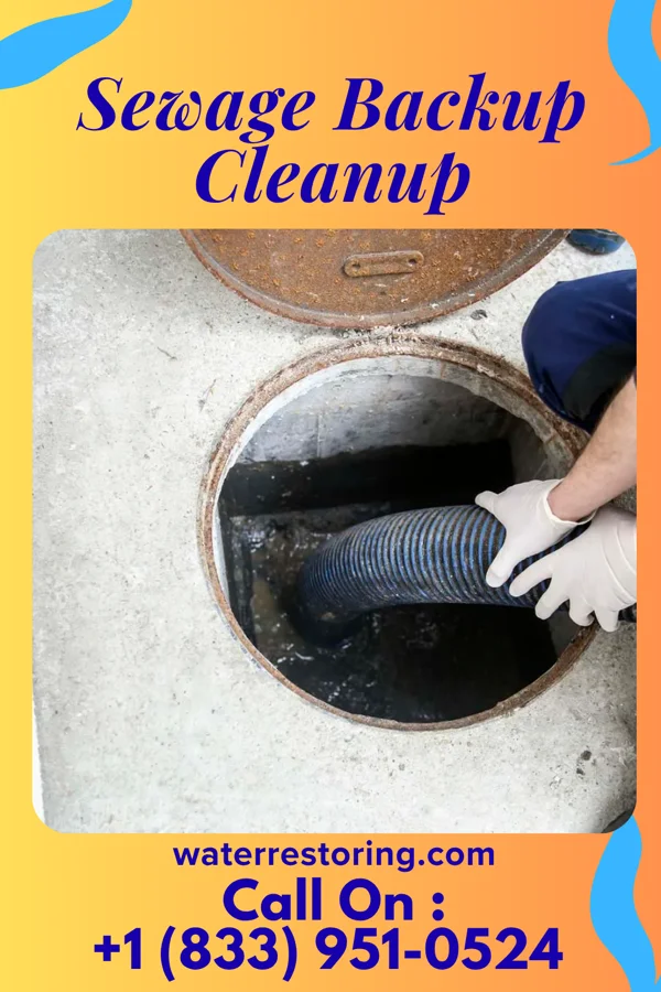 Sewage Backup Cleanup in Hickory Valley, TN