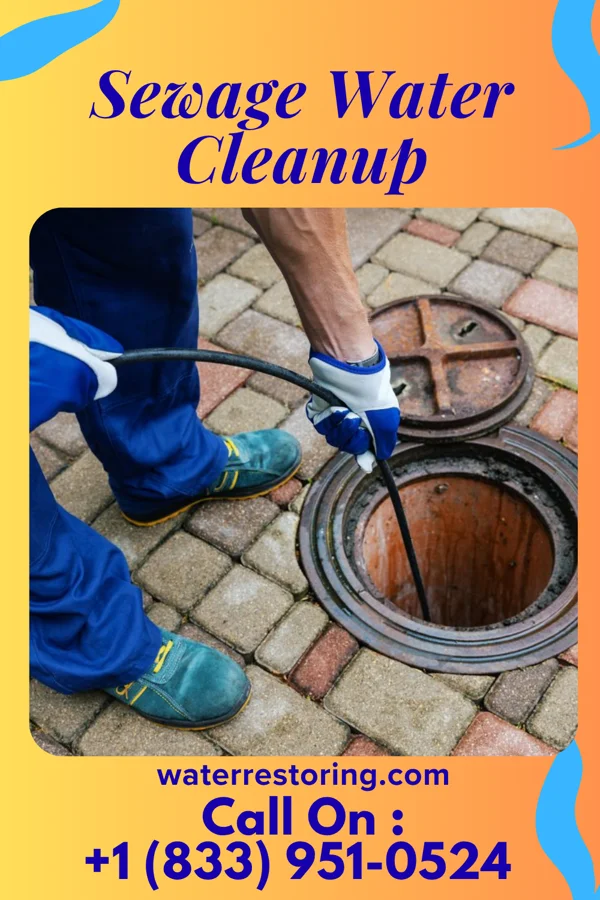 Sewage Water Cleanup in Hickory Valley, TN
