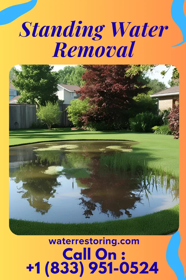 Standing Water Removal in Hickory Valley, TN